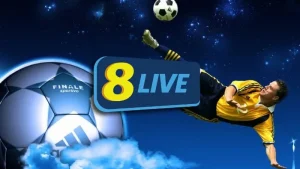8live ca cuoc bong da hap dan